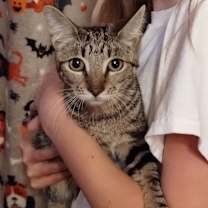 Thumbnail photo of Ozzie #1