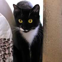 Thumbnail photo of Emmy Lou #2