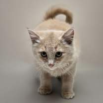 Thumbnail photo of Eugene #4