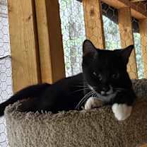 Thumbnail photo of Theo #4