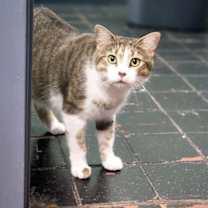 Thumbnail photo of May the Brown Beauty #2