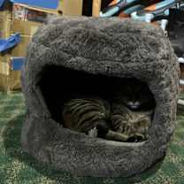 Thumbnail photo of Birdee #4