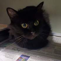 Thumbnail photo of Delia #2