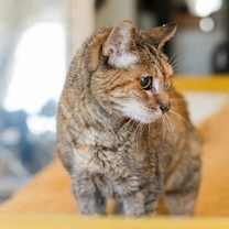 Thumbnail photo of Frances #2