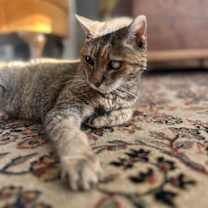 Thumbnail photo of Frances #4