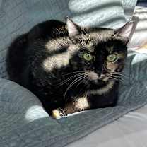 Thumbnail photo of Lila #2