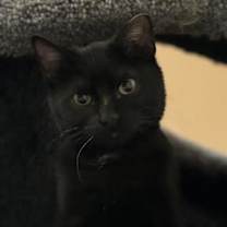 Thumbnail photo of Ed #3