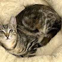 Thumbnail photo of June #3