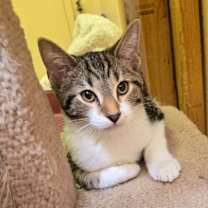 Thumbnail photo of Buzz #2