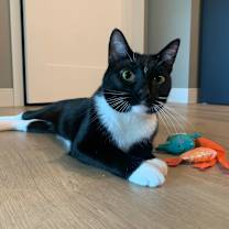 Thumbnail photo of Timothy #1