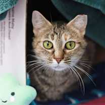 Thumbnail photo of Edith Anne #2