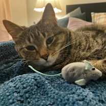 Thumbnail photo of Merrill #3