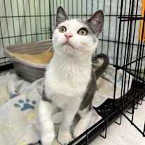 Thumbnail photo of Honey (and Cinnamon) #3