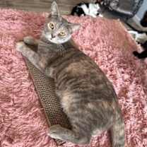 Thumbnail photo of Flower #1