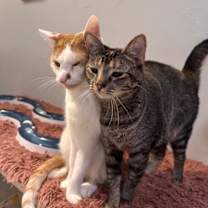 Thumbnail photo of Dottie #3