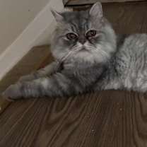 Thumbnail photo of Stormi #4