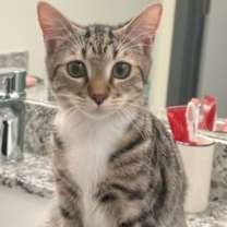 Thumbnail photo of Stevie Ray #1