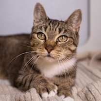 Thumbnail photo of Zinfandel #1