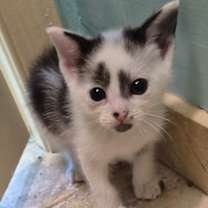 Thumbnail photo of Cozy #3