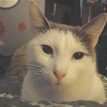 Thumbnail photo of Janine Mewnitz #1