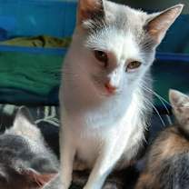 Thumbnail photo of Janine Mewnitz #3