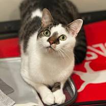 Thumbnail photo of Alex #1