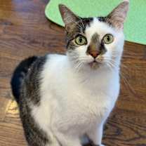 Thumbnail photo of Alex #4