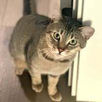 Thumbnail photo of Arthur #2