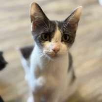 Thumbnail photo of Sherry #1