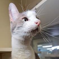 Thumbnail photo of Hope #3