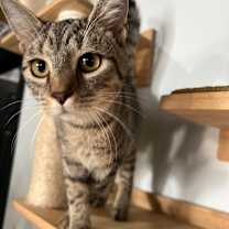 Thumbnail photo of Lillian May #3