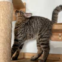 Thumbnail photo of Lillian May #4