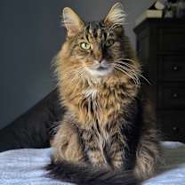 Thumbnail photo of Church #1