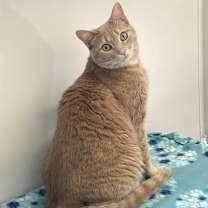 Thumbnail photo of Ginny #3