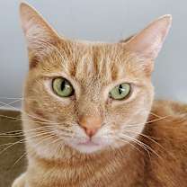 Thumbnail photo of Ginny #4