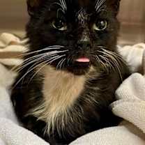 Thumbnail photo of Fitzgerald #2