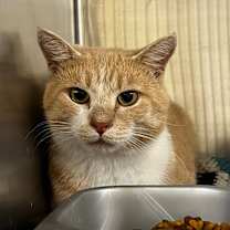 Thumbnail photo of Brian #2