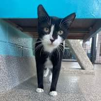 Thumbnail photo of Molly #3