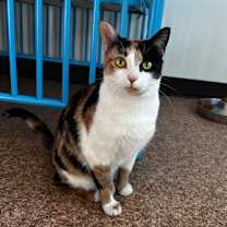 Thumbnail photo of Erin #1