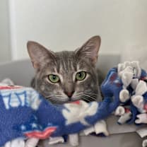 Thumbnail photo of Lauren #1