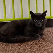 Thumbnail photo of Alan #2