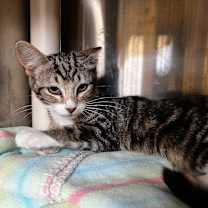 Thumbnail photo of Marsha #2