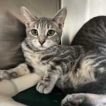 Thumbnail photo of Lauren #2