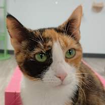 Thumbnail photo of Barbie #3