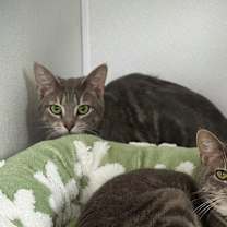 Thumbnail photo of Lauren #4