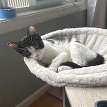 Thumbnail photo of Chip #3