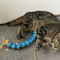 Thumbnail photo of Tessa #2