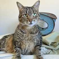 Thumbnail photo of Tessa #4