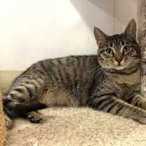 Thumbnail photo of Arthur #3