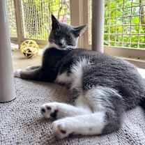 Thumbnail photo of Gigi #3